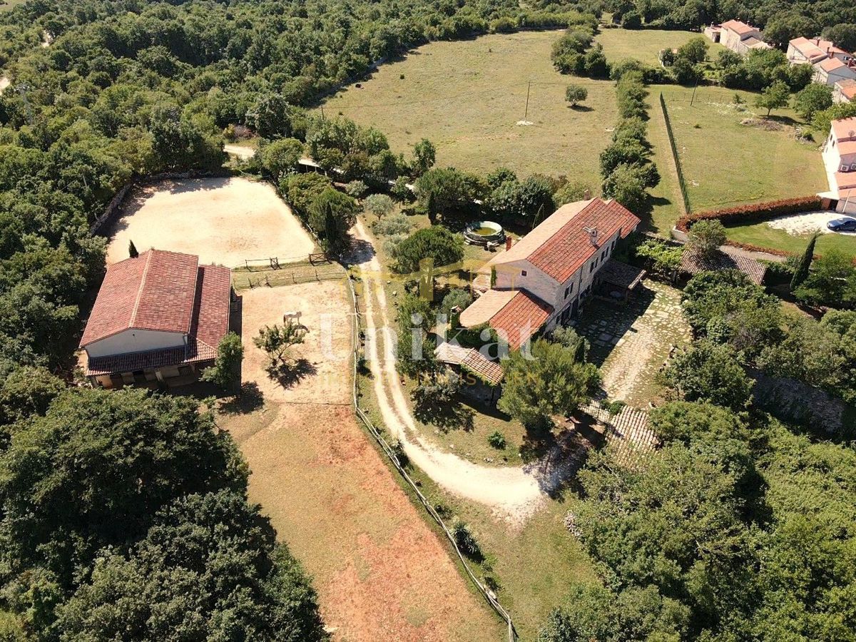 Autentica proprietà con casa in pietra e ampio terreno